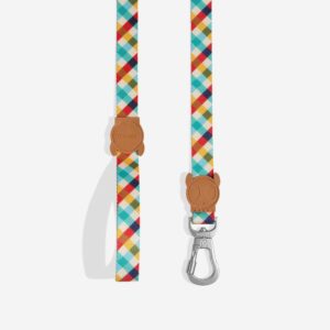 Phantom | Leash